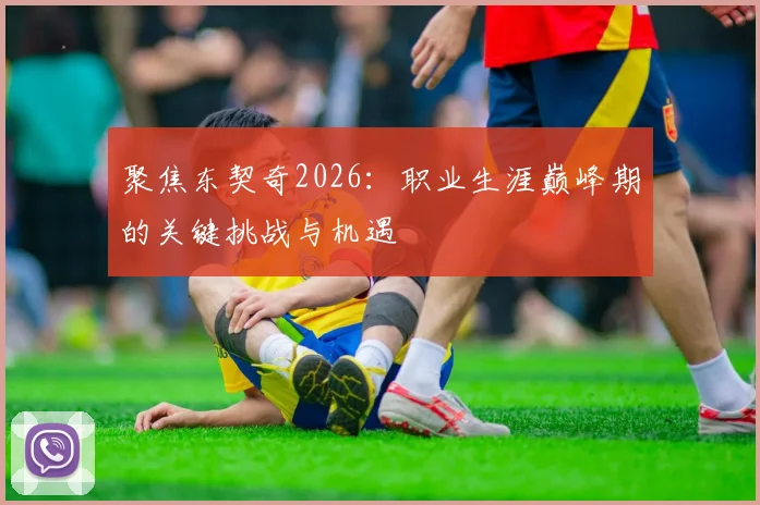 聚焦东契奇2026：职业生涯巅峰期的关键挑战与机遇